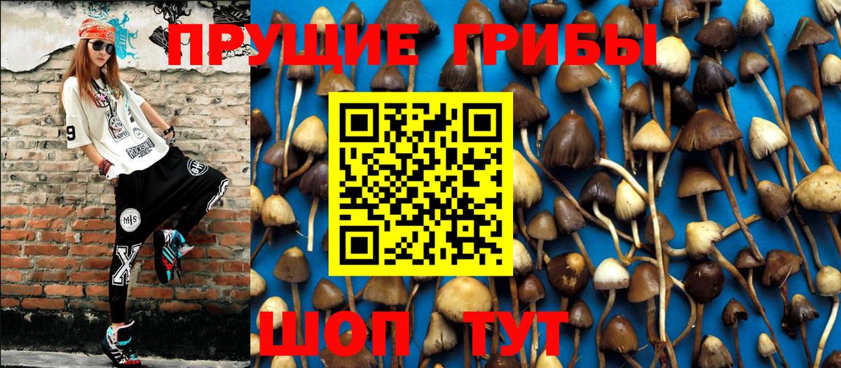 Галлюциногенные грибы ЛСД  Вход с VPN  Асбест  Псилоцибиновые грибы прущие грибы 