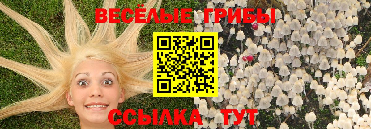 Галлюциногенные грибы GOLDEN TEACHER Асбест